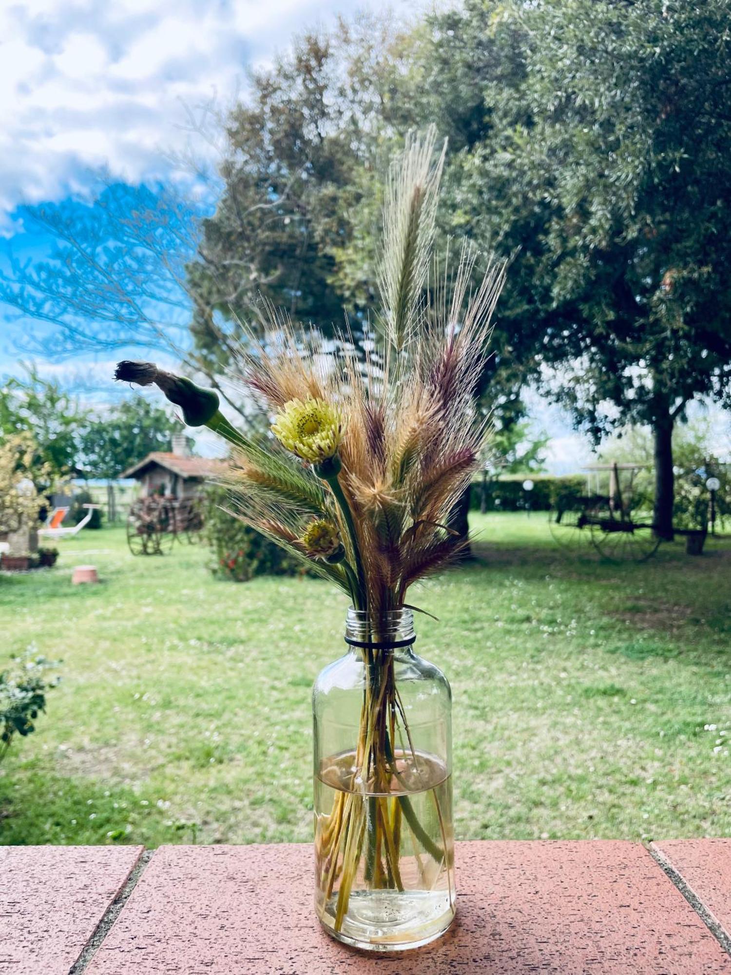 Agriturismo Salcino Grosseto Zewnętrze zdjęcie