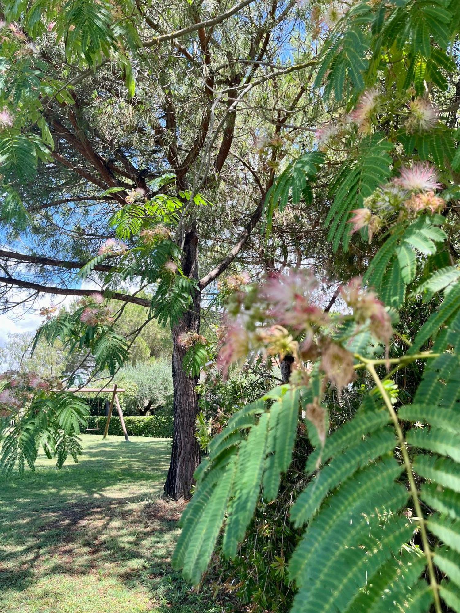 Agriturismo Salcino Grosseto Zewnętrze zdjęcie